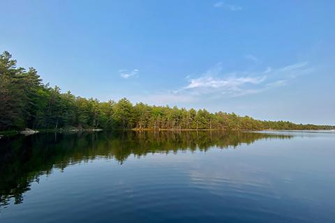 Bone Island Landscape on Georgian Bay