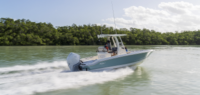 2025 Boston Whaler Dauntless 250 Dauntless