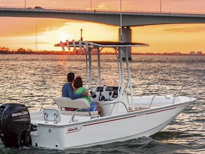 2025 Boston Whaler Montauk 190 Montauk