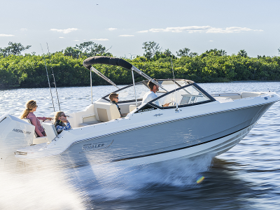 2025 Boston Whaler Vantage 210 Vantage