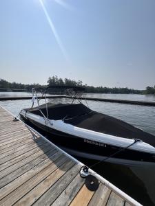 Cobalt 250