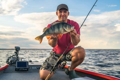 Lake Simcoe Abundant Fishing