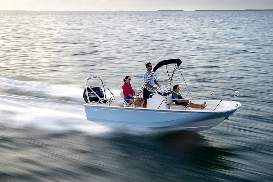 2025 Boston Whaler Montauk 170 Montauk