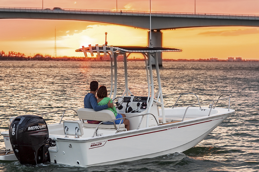 2025 Boston Whaler Montauk 190 Montauk