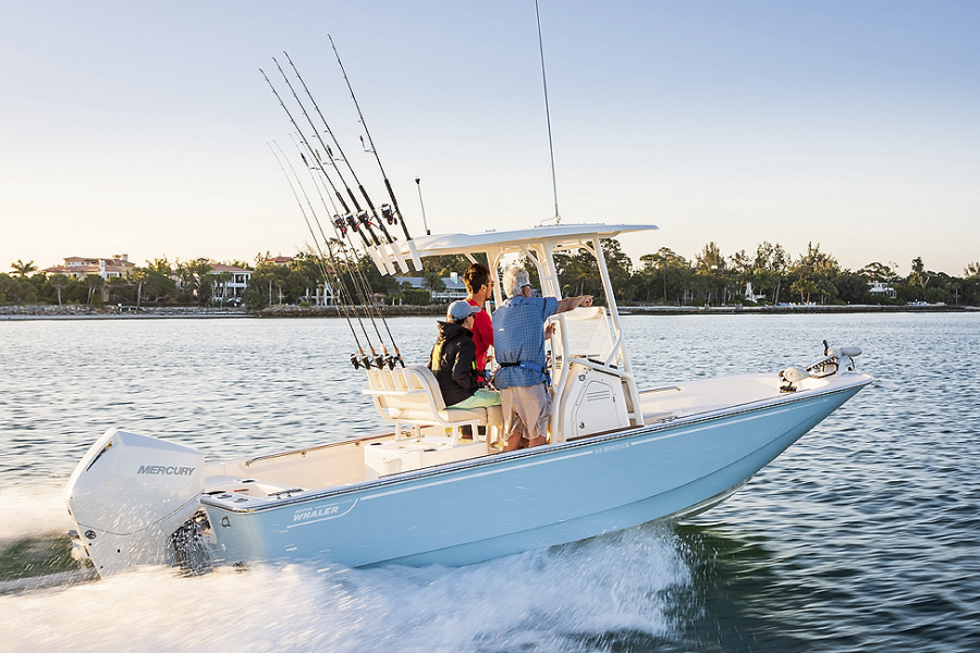 2025 Boston Whaler Montauk 210 Montauk